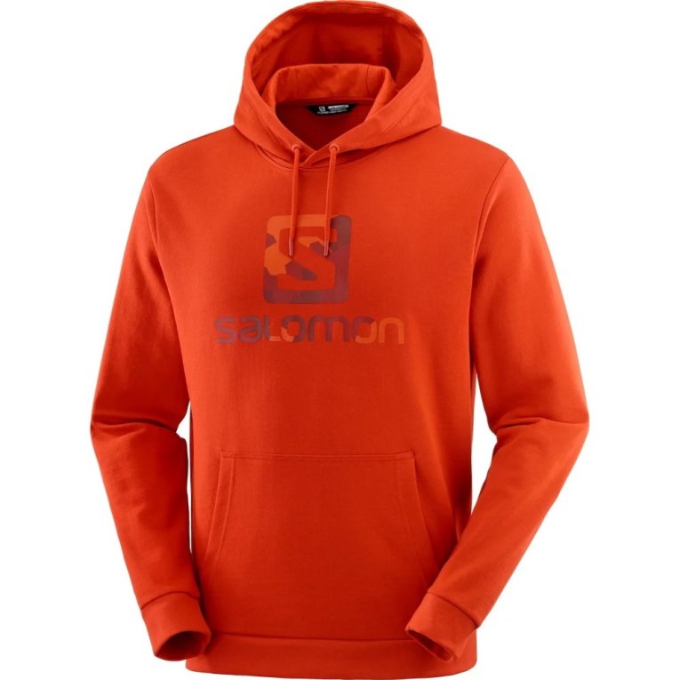 Sudadera Con Capucha Salomon Outlife Logo Summer Mujer Rojos | MX AMDV684